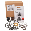 Zestaw naprawczy pompy do myjek KARCHER HD 10/25 10/21 10/23 2.883-902.0